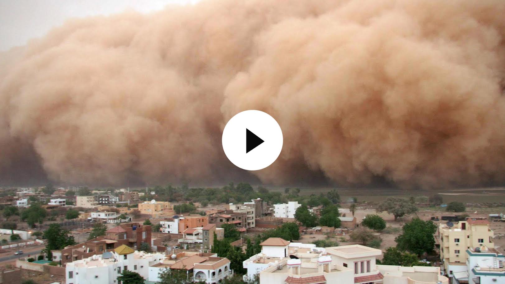Predicting Dust Storms