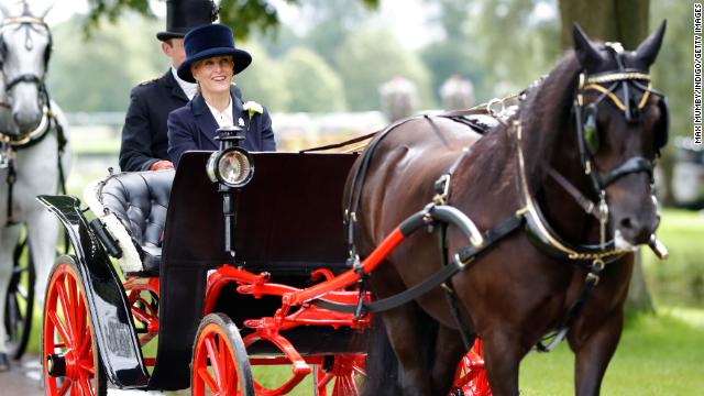 The Countess of Wessex participated in the Champagne Laurent-Perrier Meet of the British Driving Society at the Royal Windsor Horse Show in Windsor Sunday. 