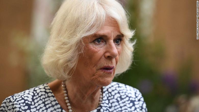 Britain's Camilla, Duchess of Cornwall at an event in June.