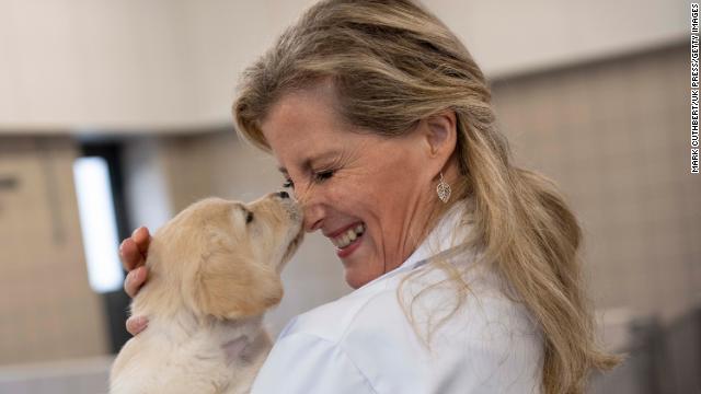 Sophie, Countess of Wessex looked to be enjoying herself while hanging out with some furry friends during her visit to the Guide Dogs National Centre on Thursday in Leamington Spa, England.