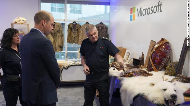 William learns how new AI scanning technology can increase detection of illegal wildlife products being trafficked through international airports during a visit to Microsoft HQ on November 18, 2021 in Reading, England. 