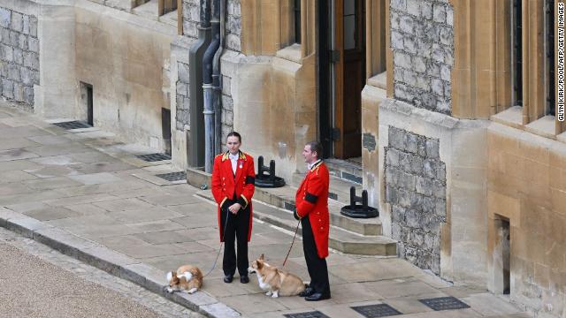 The Queen's corgi's were brought outside as the Queen's coffin passed in Windsor.