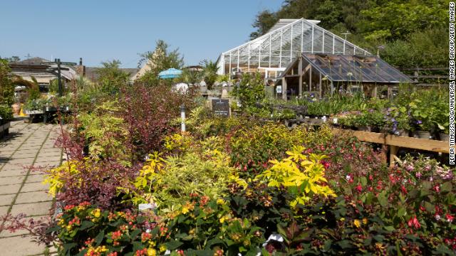 Plants and flowers on sale at the Duchy of Cornwall garden nurseries near Lostwithiel, Cornwall, UK.