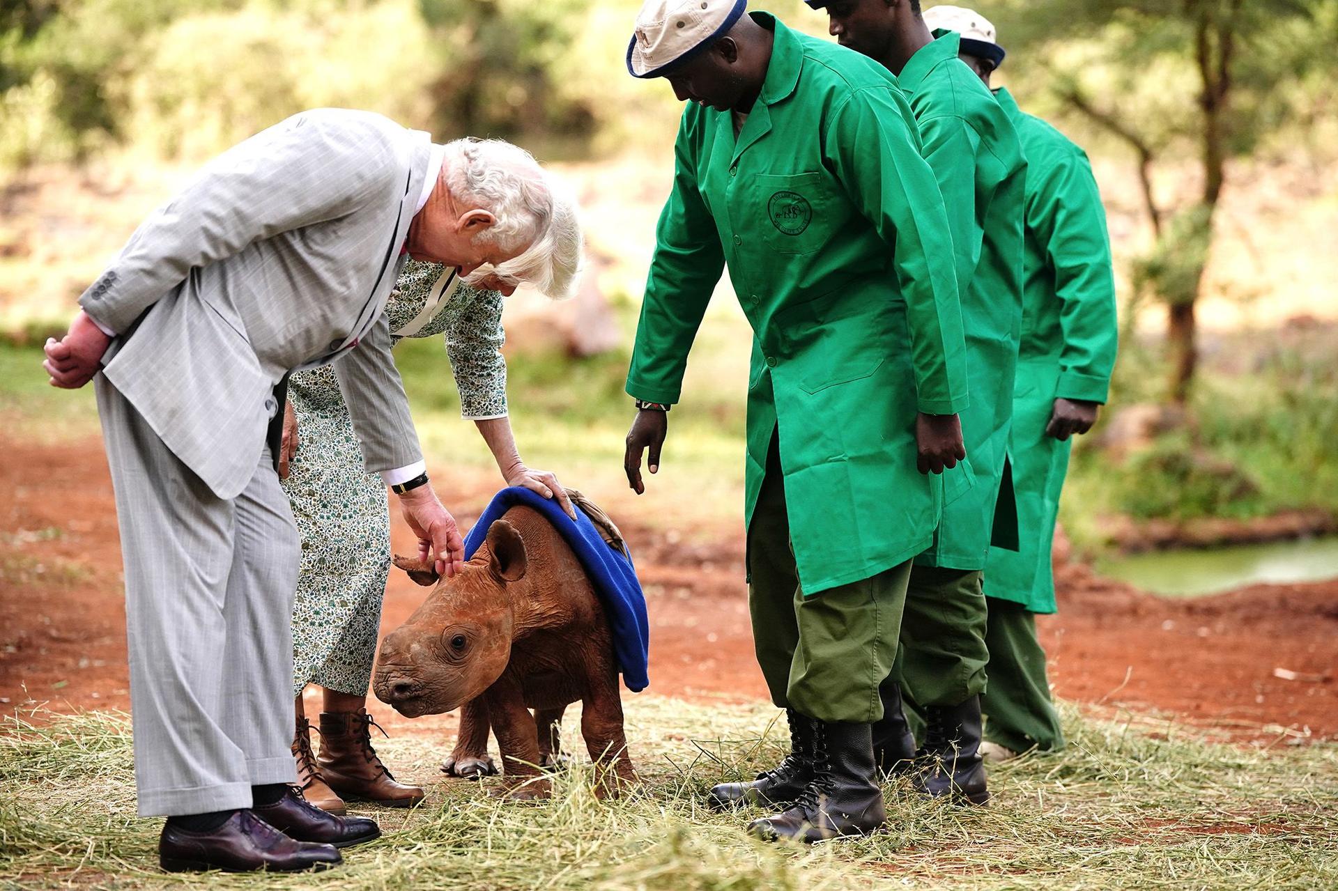 The royal couple toured the Sheldrick Wildlife Trust Elephant Orphanage in Nairobi National Park, to learn about the trust's work in the conservation and preservation of wildlife and protected areas across Kenya.