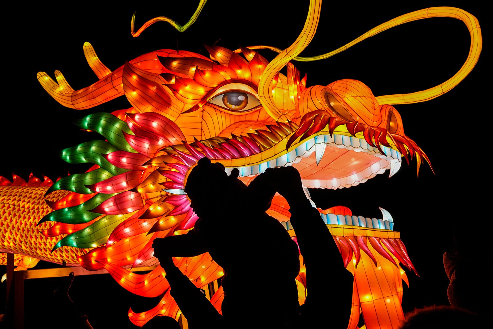 Dragon lantern