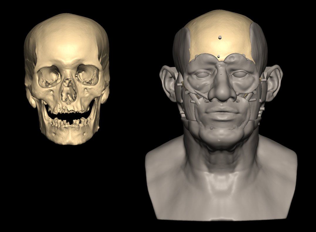 A facial reconstruction was made using a 3D scan of the Egyptian man's skull. 
