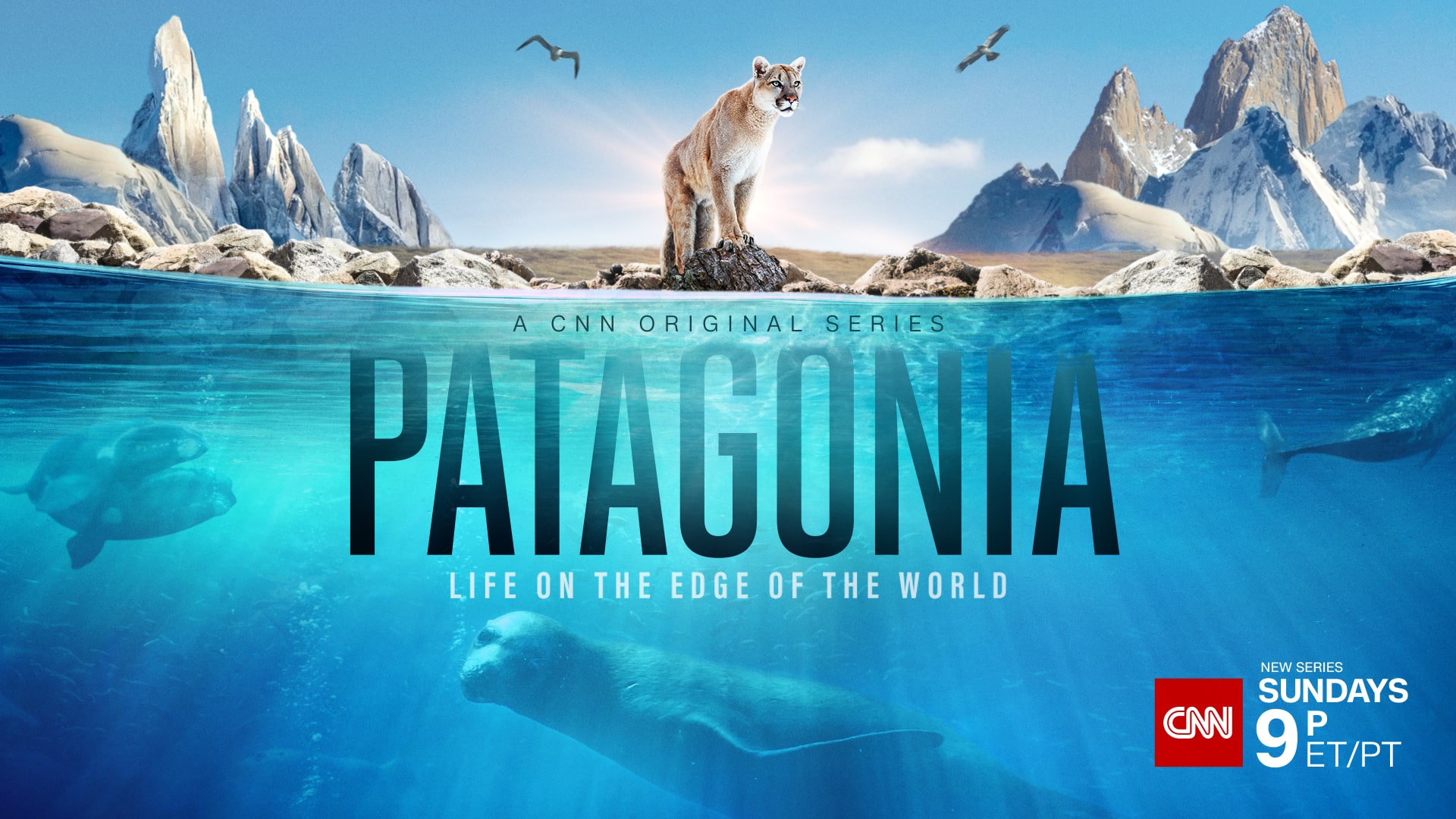 The ground-breaking documentary series explores the wonders of one of the wildest places on Earth through the lives of extraordinary animals and people that inhabit it.