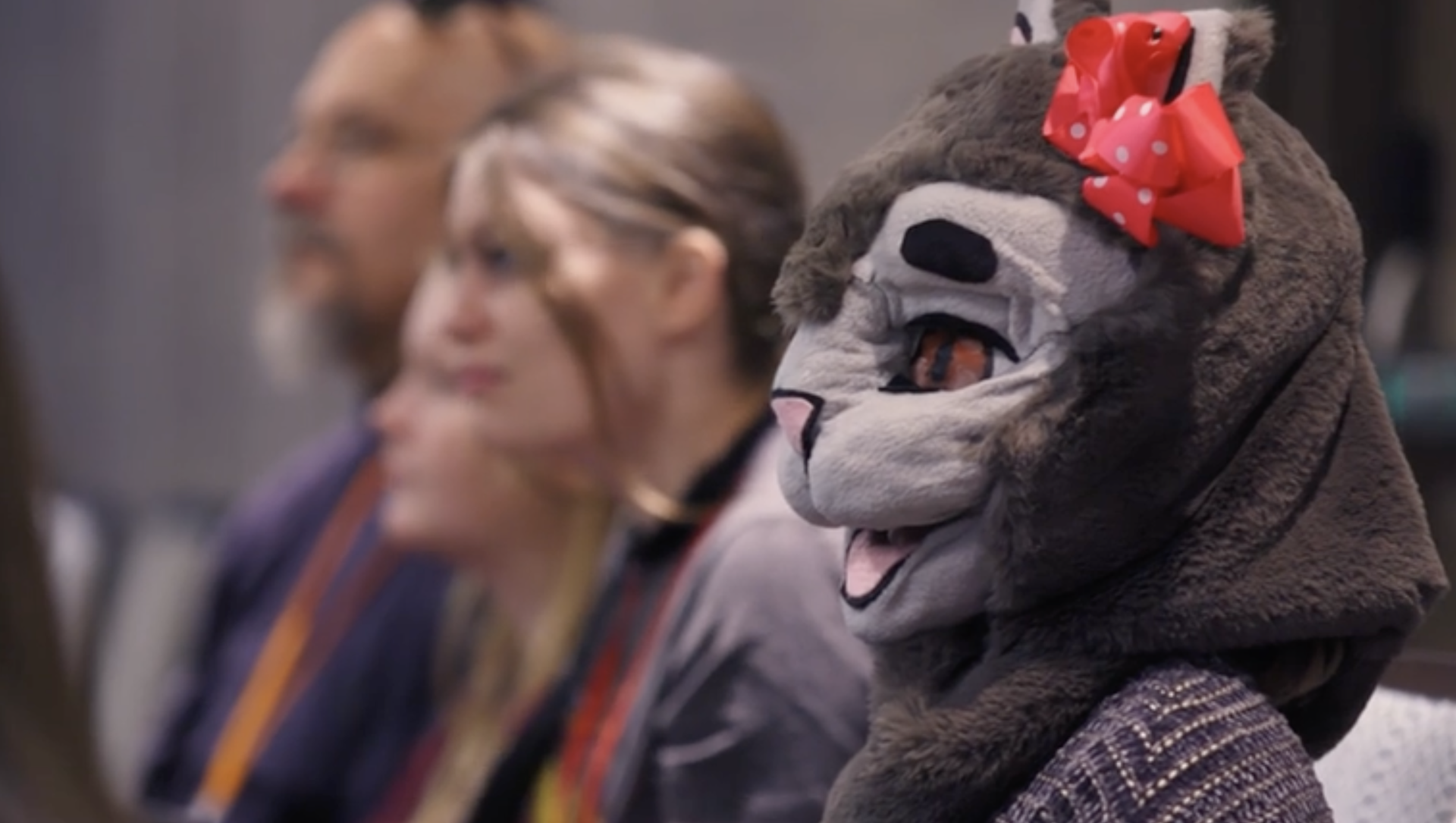 This is Life, Episode 508: Furry Nation