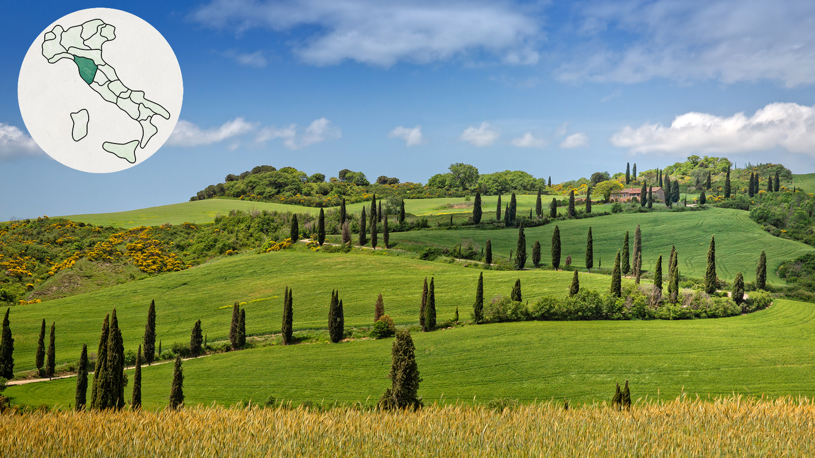 Hills of Val d'Orcia, Tuscany