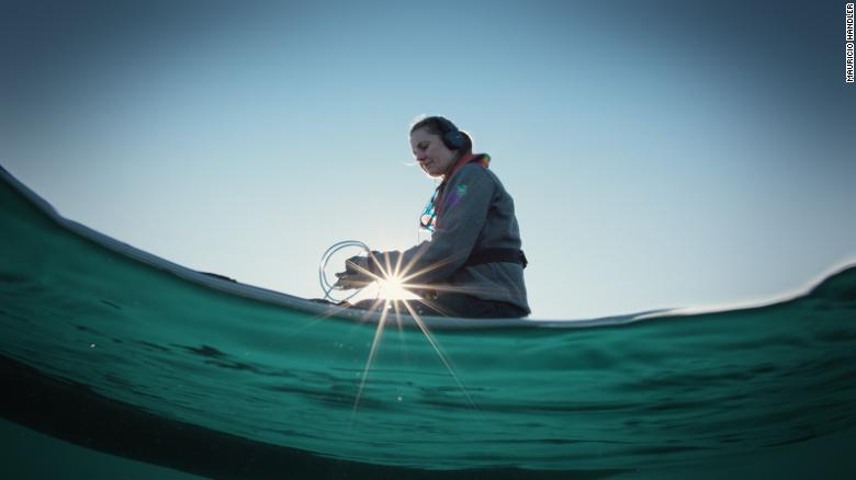 Susannah Buchan listens to blue whales with a microphone in Chile's Corcovado Gulf.