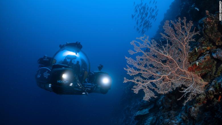 Scientists use deep-sea submersibles to examine coral reefs off the Maldives in September to study the impact of carbon emissions.