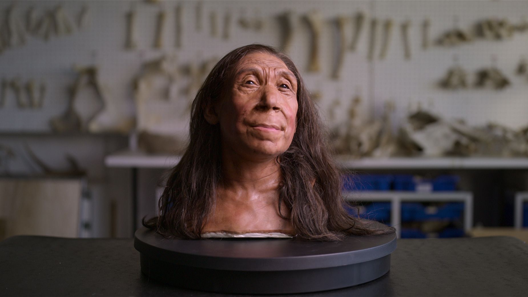 Researchers recreated the face of a Neanderthal woman, who would have been in her mid-40s when she died 75,000 years ago.