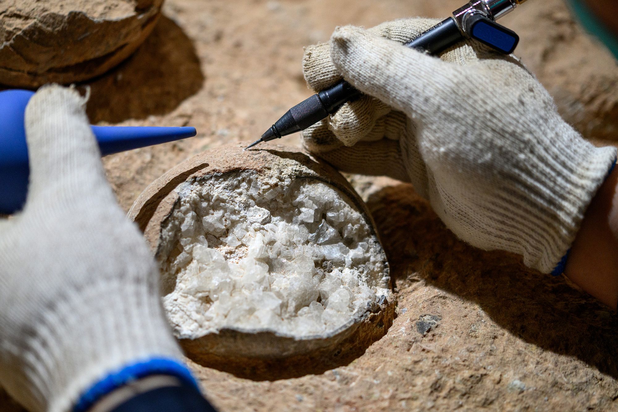 Researchers collected samples from the dinosaur eggs to determine their age.