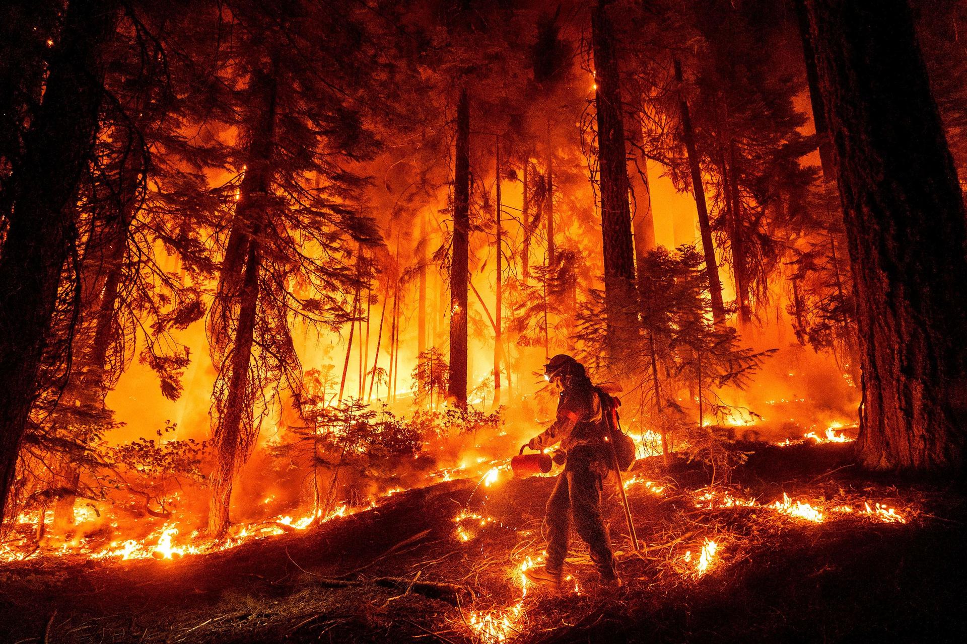 Fire near Mill Creek, California