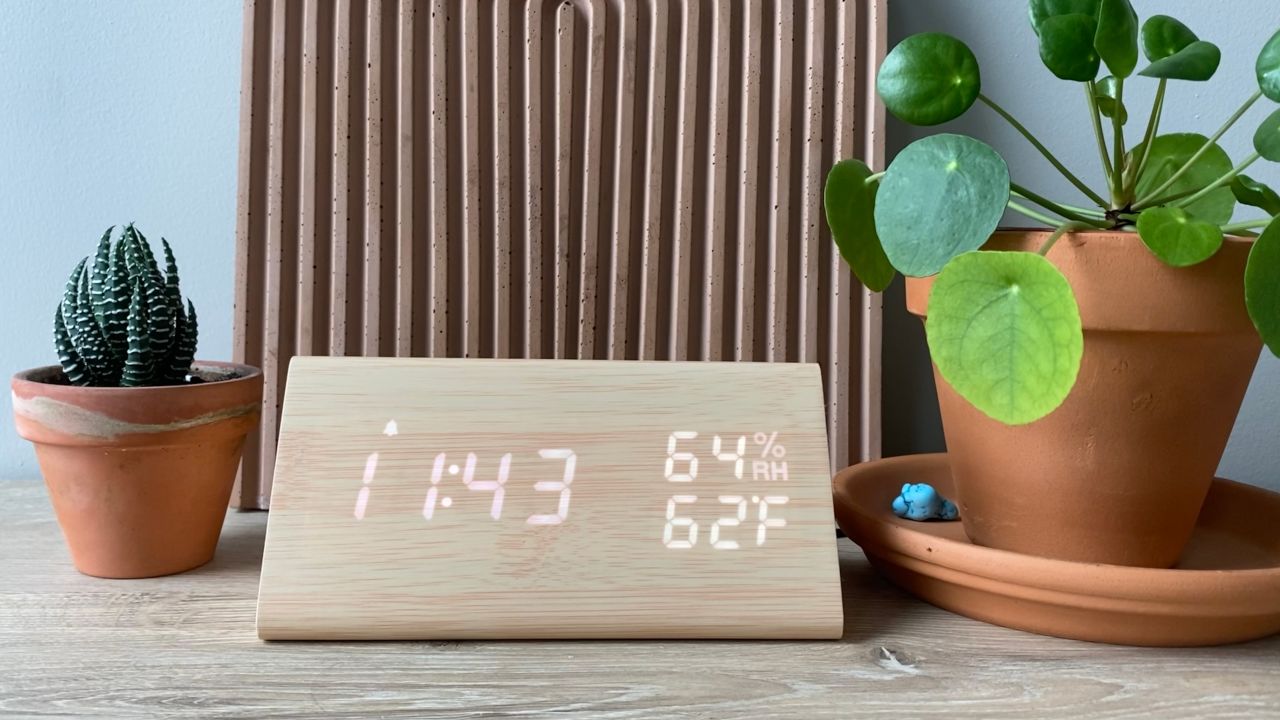 Alarm clock next to two plants