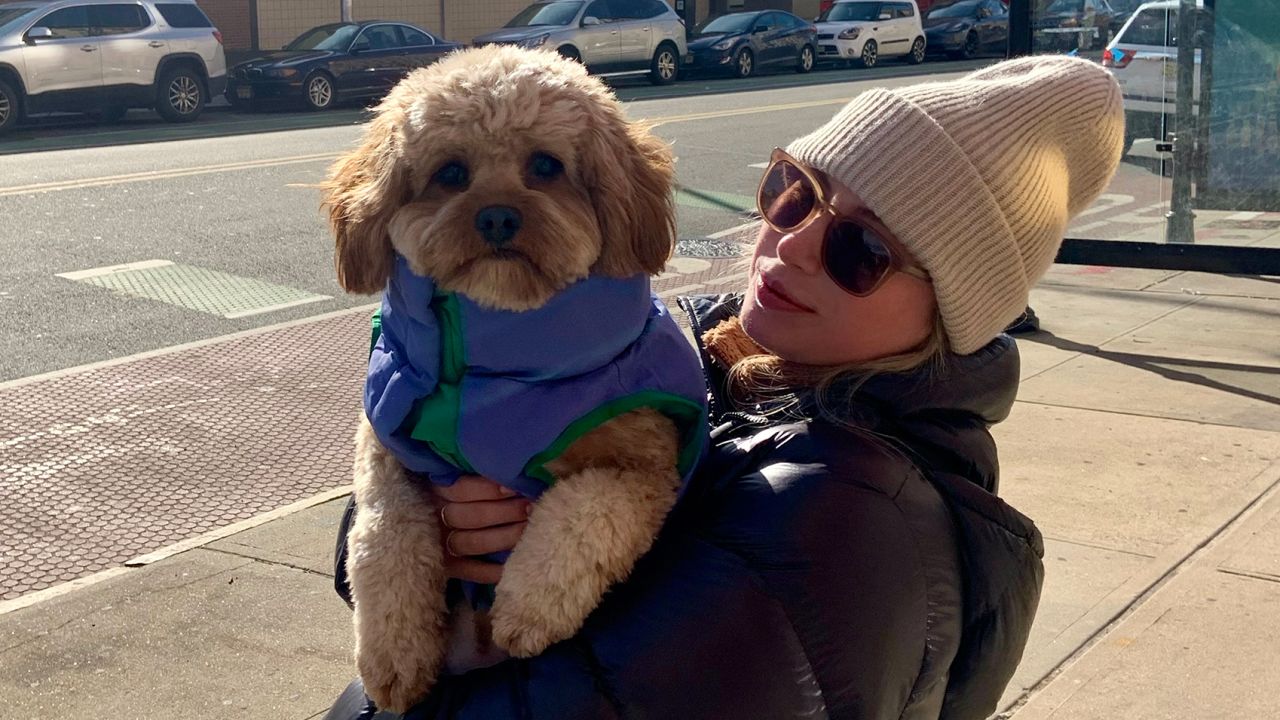 Person in a hat and sunglasses holding small dog wearing a vest.