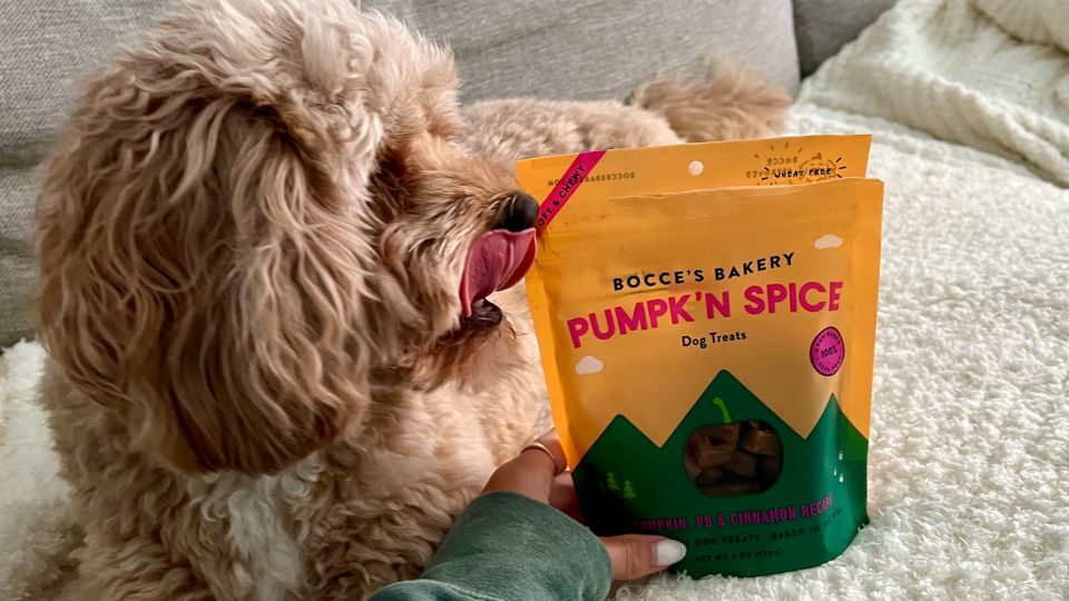 Bocce's Bakery Pumpk'n Spice Dog Treats
