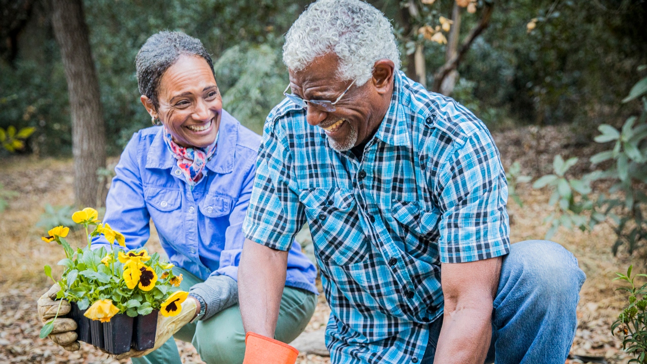 Two adults gardening