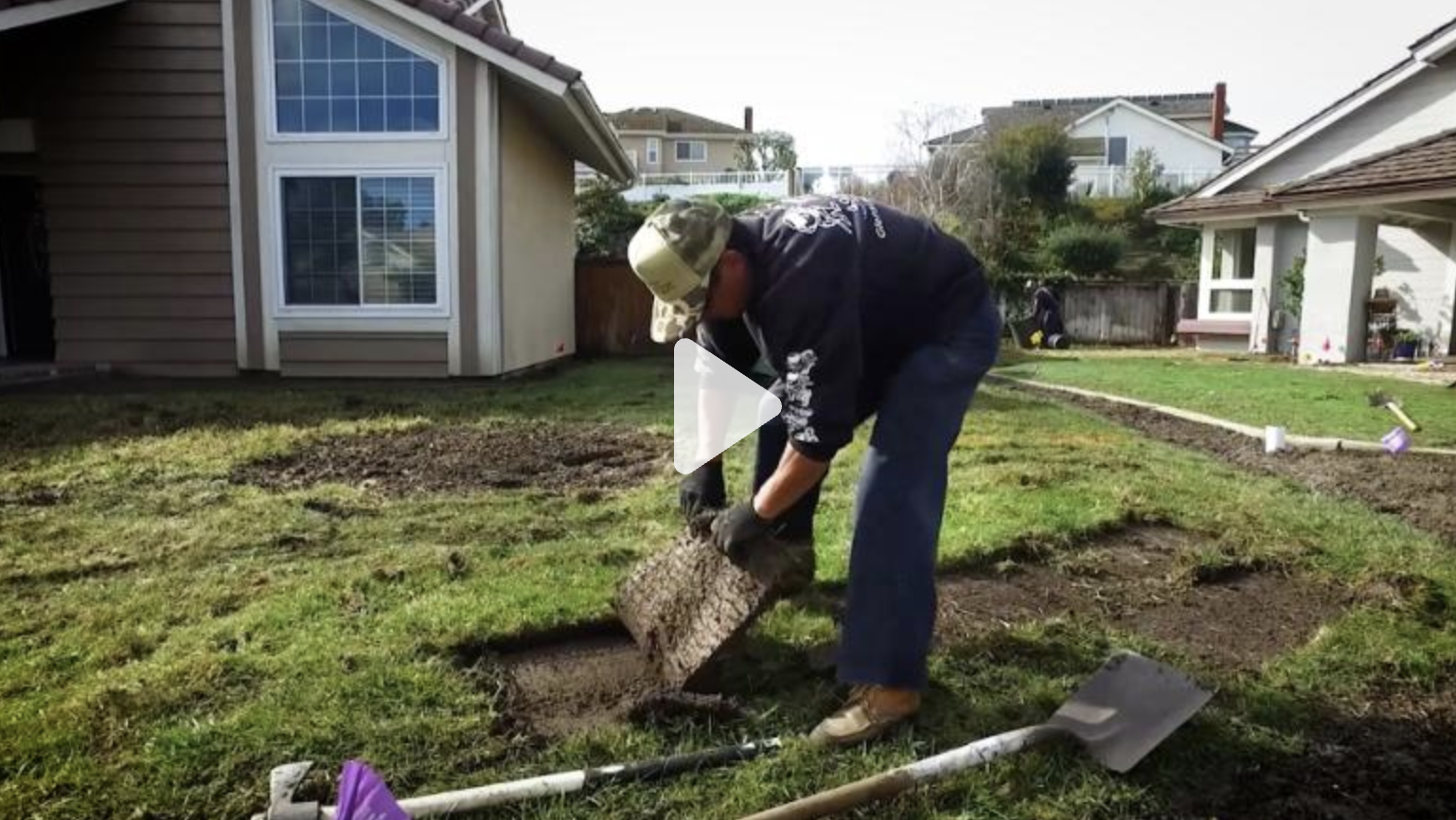 A man removes sod from a lawn