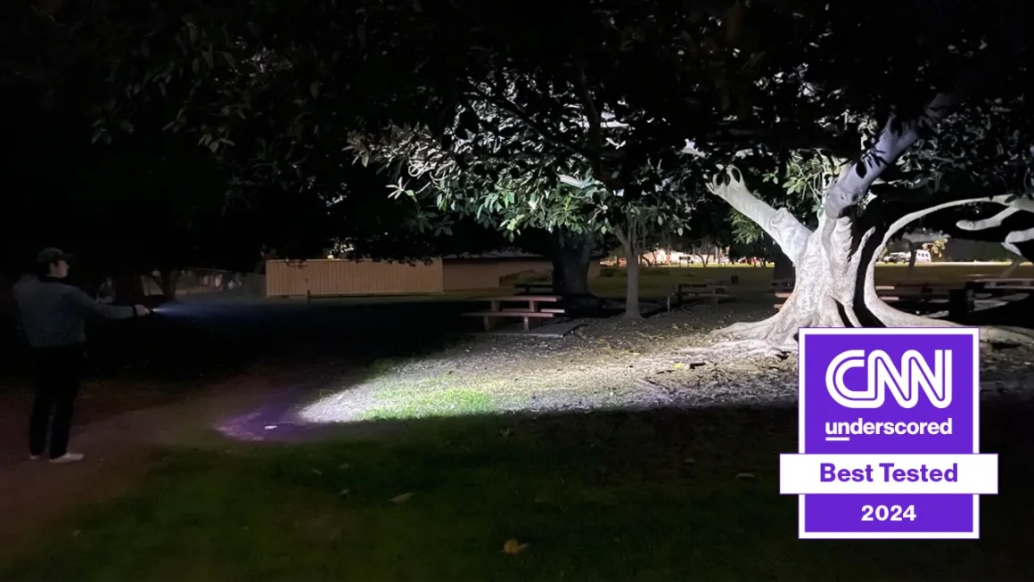 A tree lit up by a flashlight at night wit