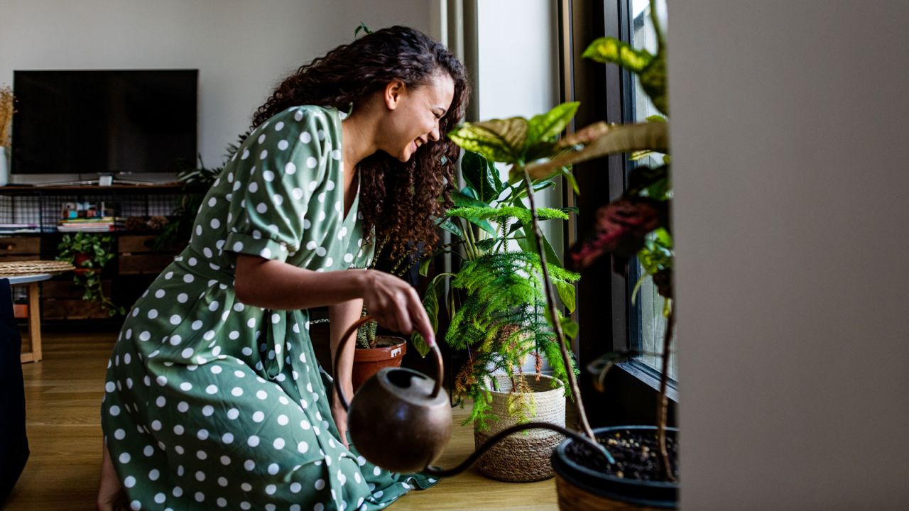 Person wearing green polka dot house dress.