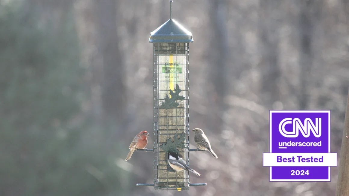 Bird feeder with three birds perching on it