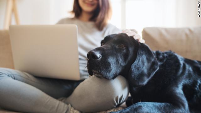 A woman pets a dog while sitting on a couch