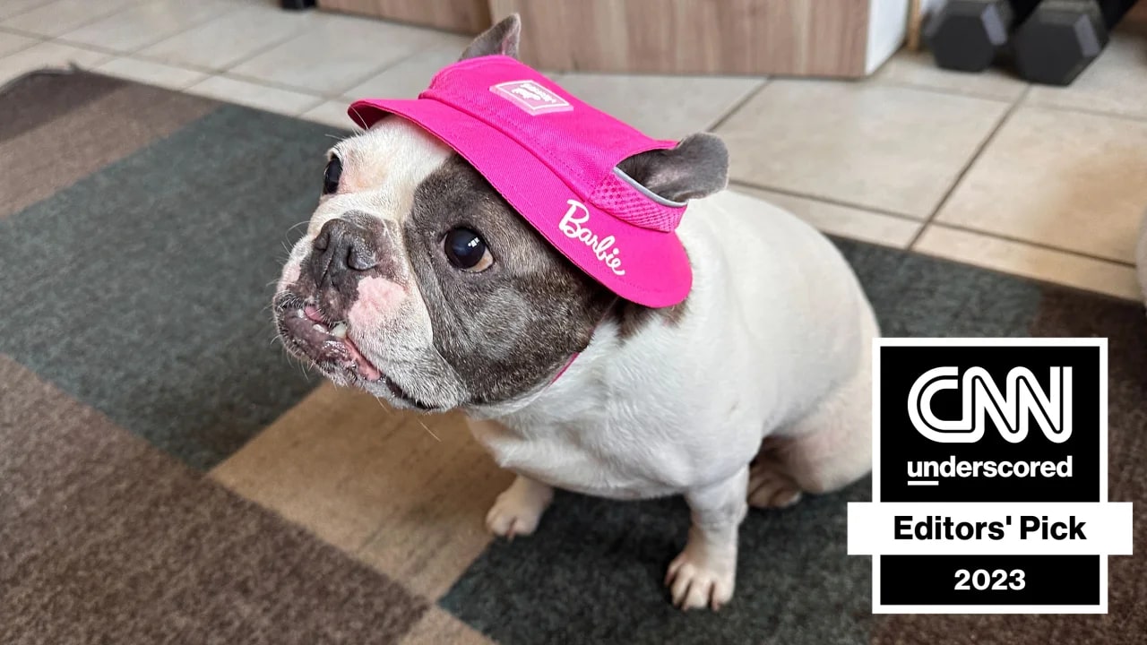 A dog wearing a pink Barbie hat