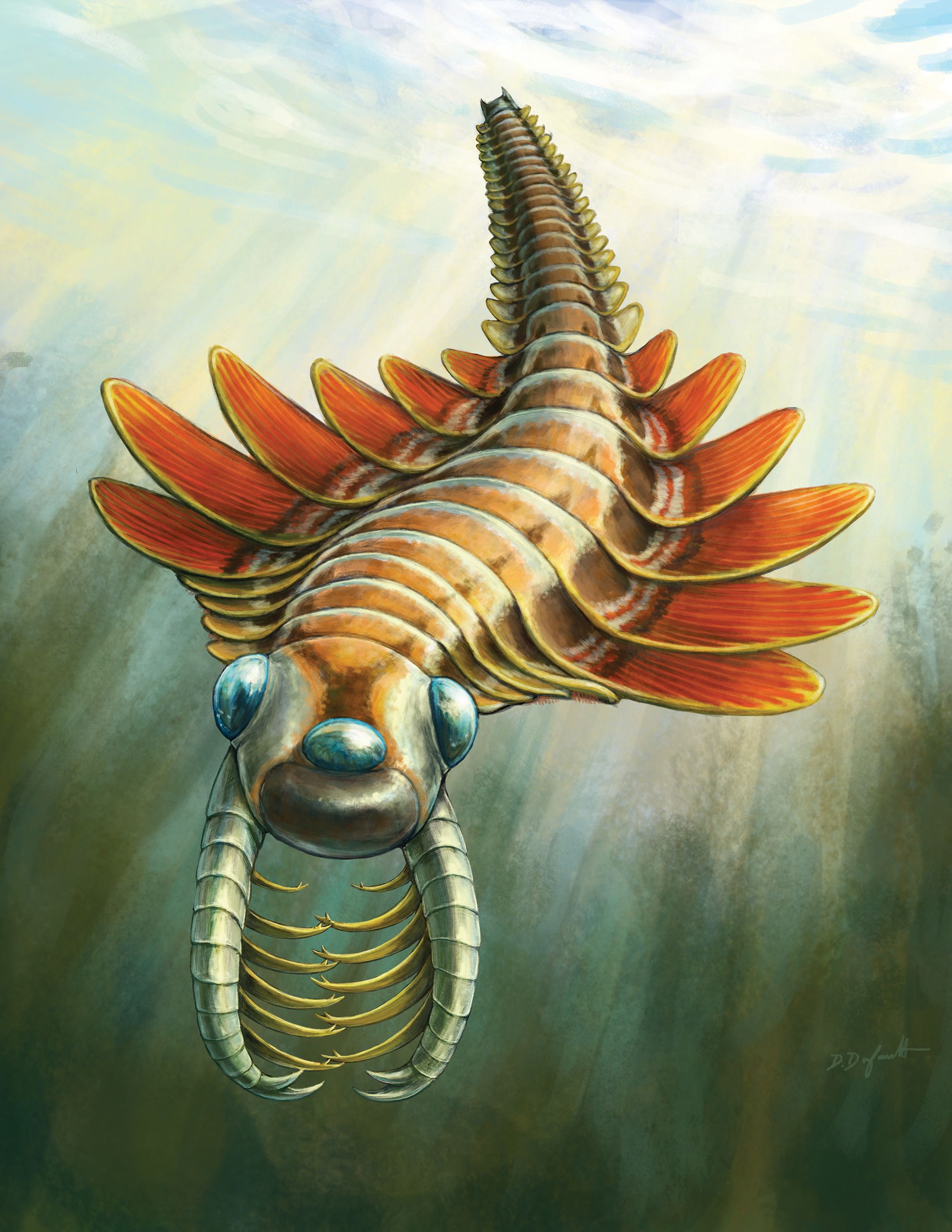 An artist's illustration shows what the ''sea moth'' may have looked like 506 million years ago.