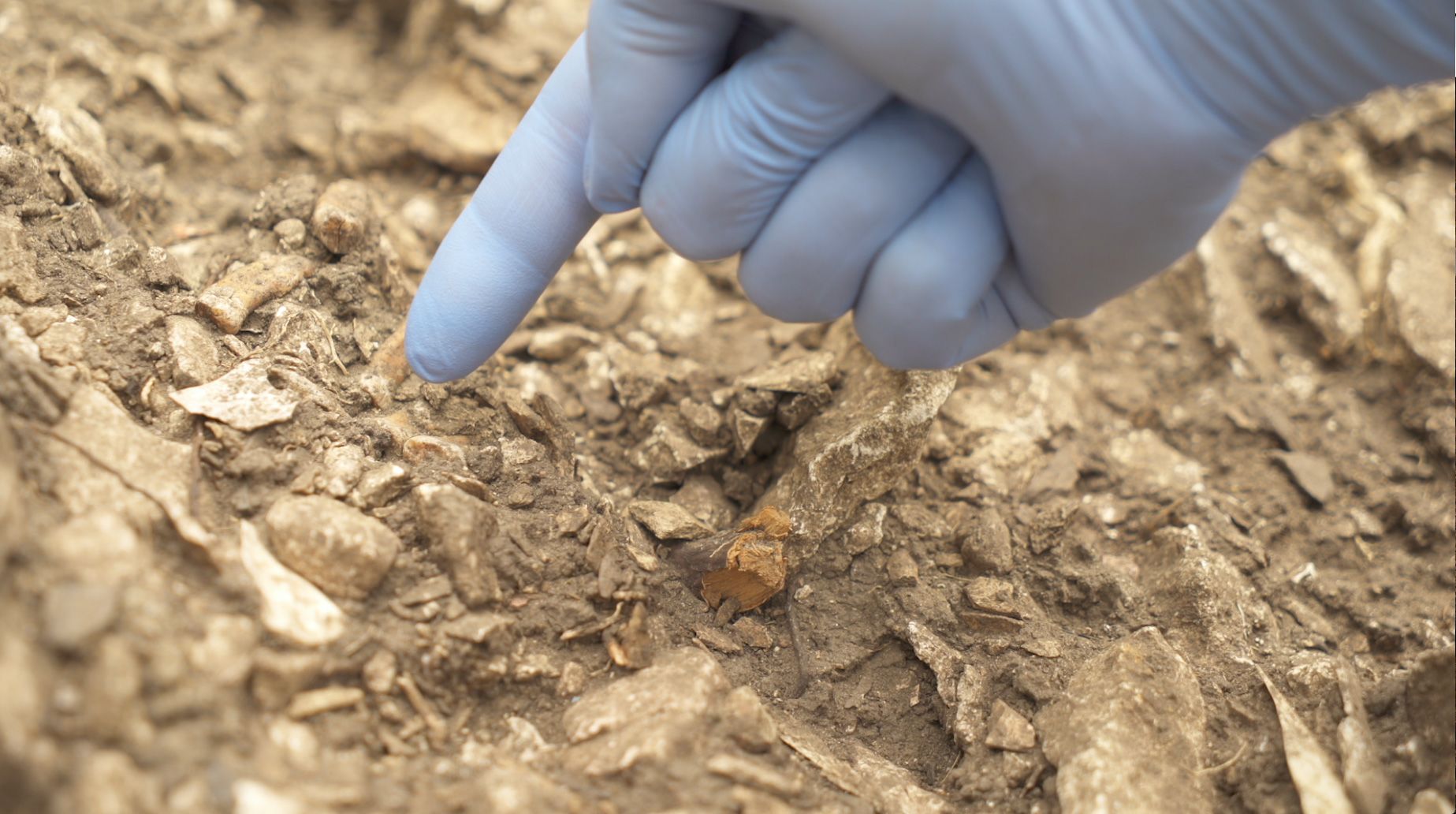 Archaeologists discovered the remains of a Neanderthal, nicknamed Thorin, in Grotte Mandrin, a rock shelter in southern France's Rhône Valley.