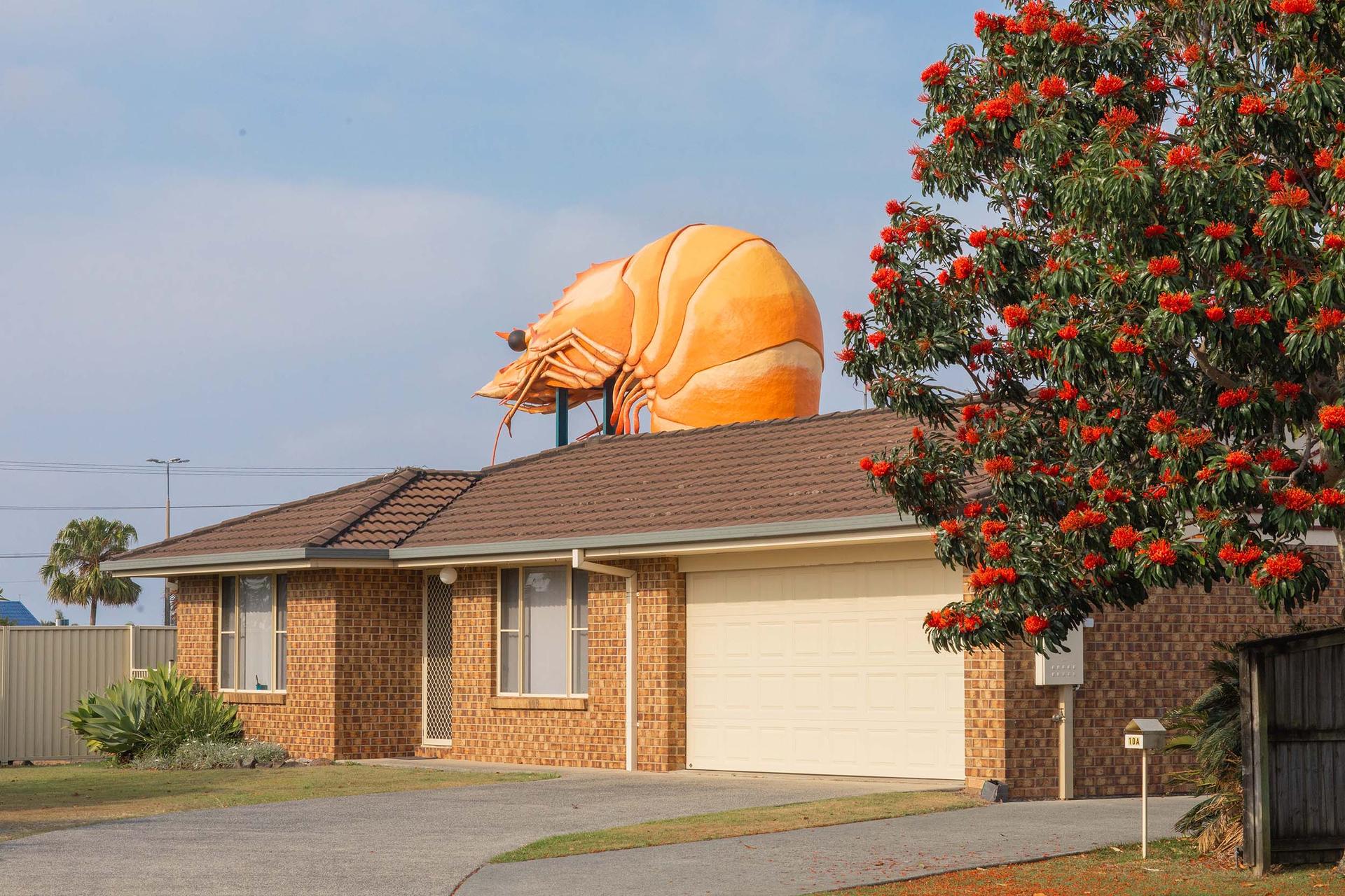 Big Prawn