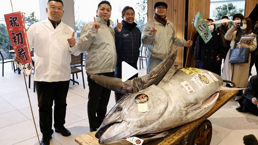 Bluefin tuna at fish market