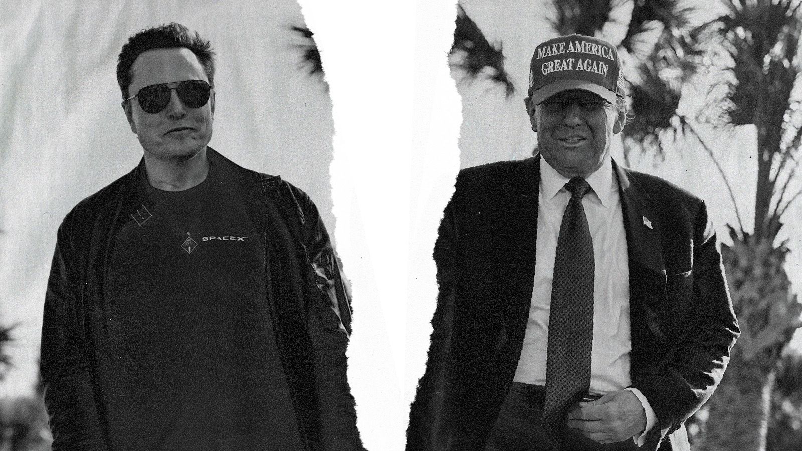 Elon Musk and President Donald Trump