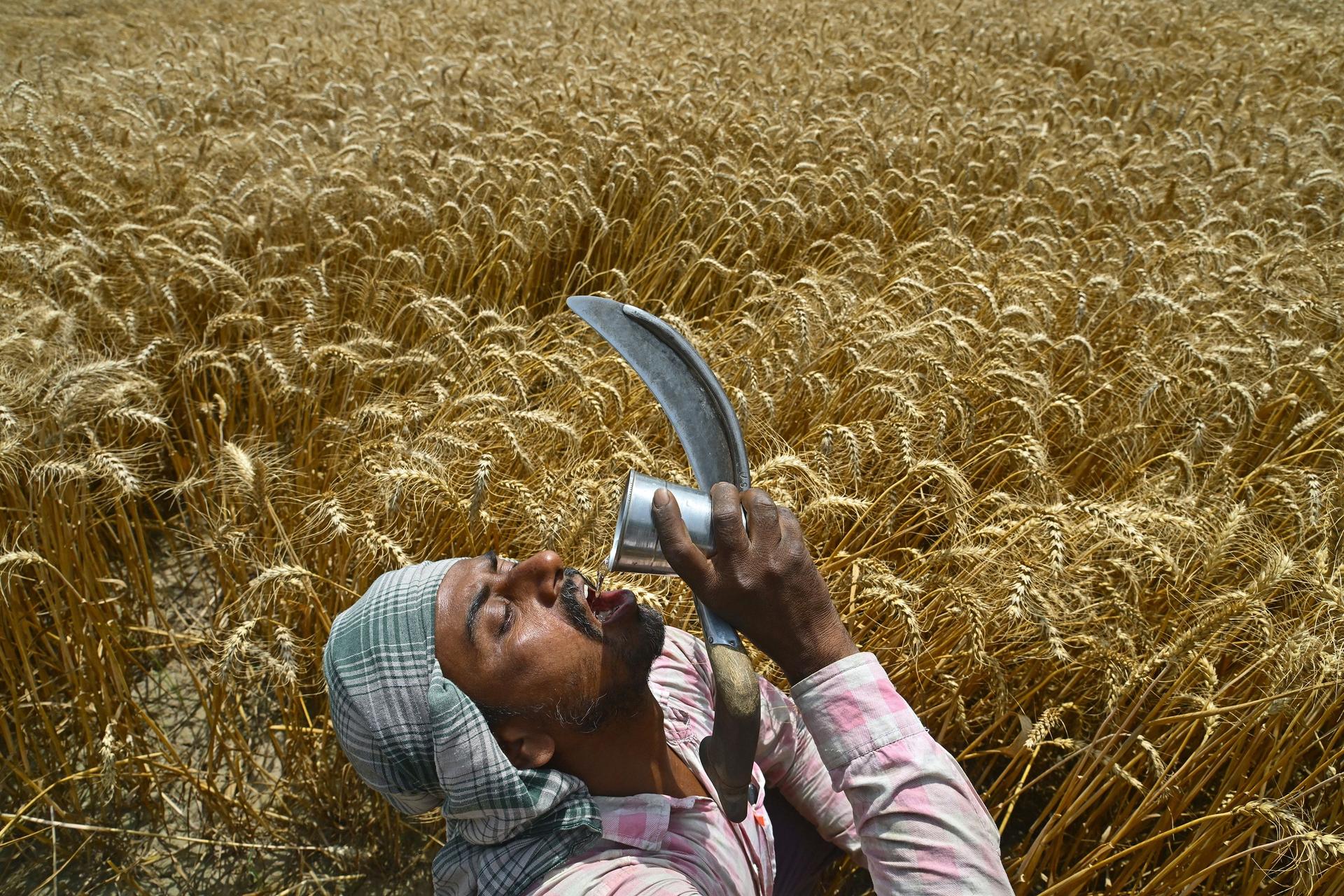 Migrant worker