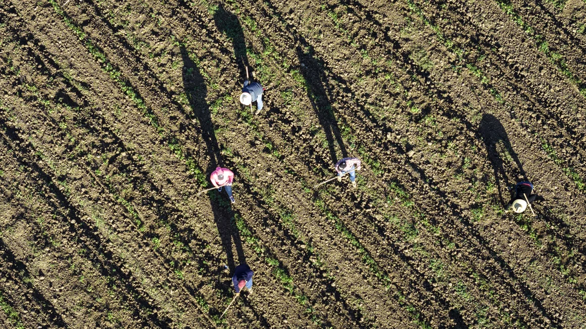 Workers