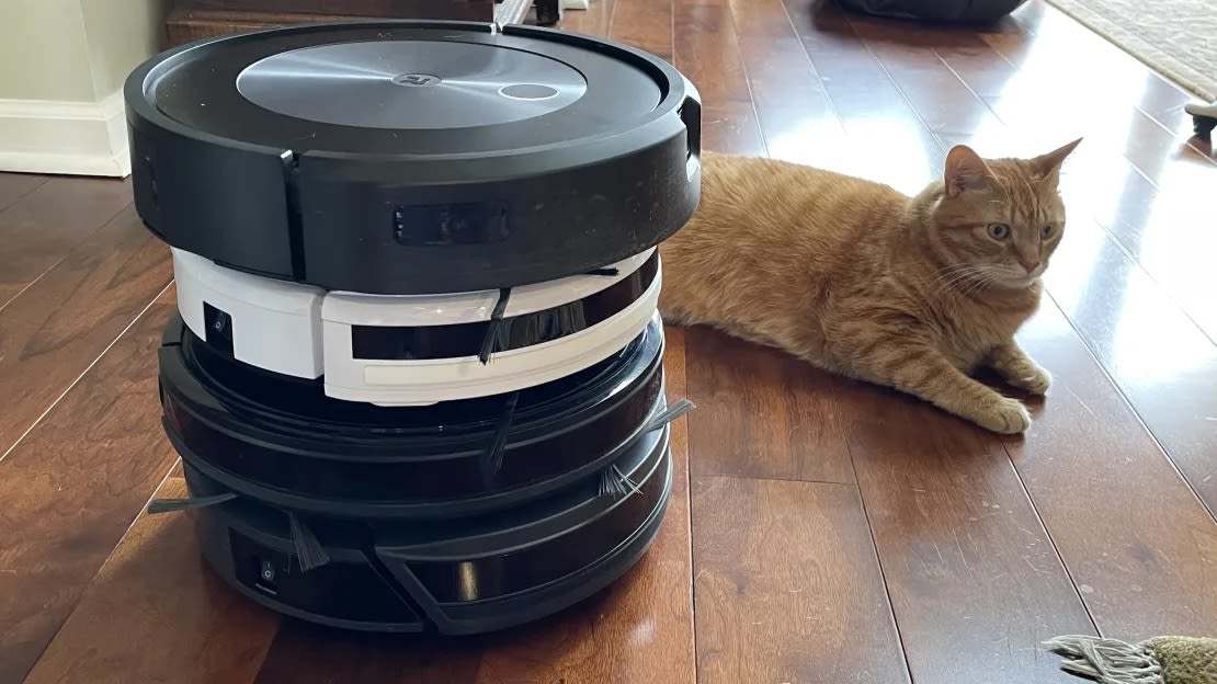 variety of robot vacuums and a cat